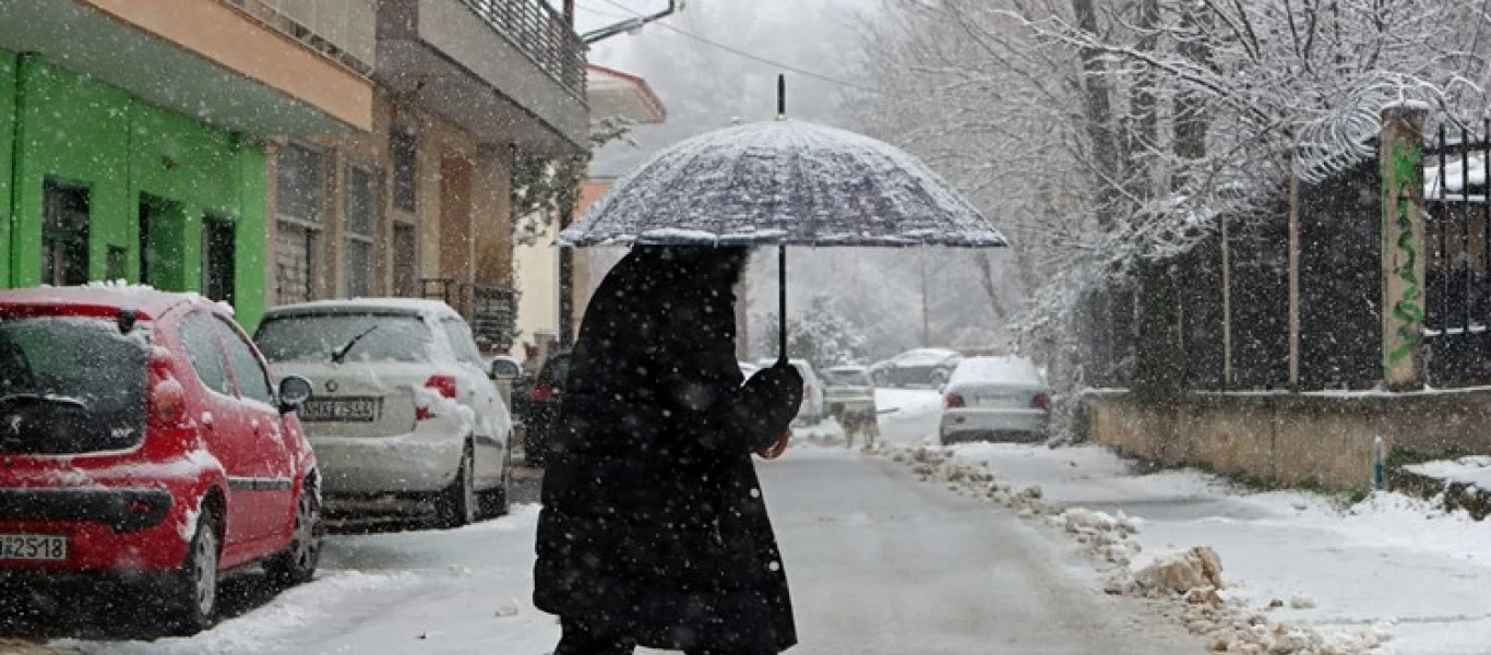 Φλώρινα: Επελαύνει η κακοκαιρία «Λέανδρος» - Σφοδρή χιονόπτωση (βίντεο)